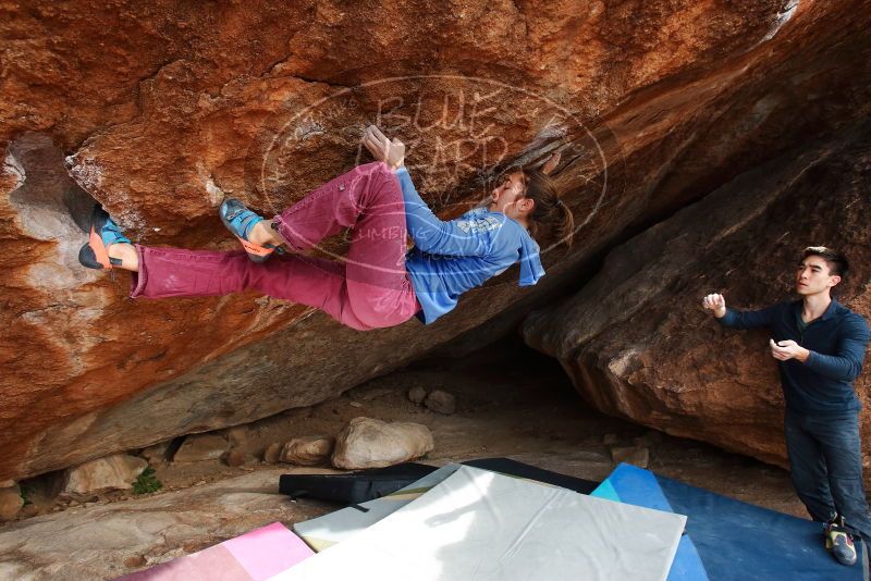 Bouldering in Hueco Tanks on 11/25/2019 with Blue Lizard Climbing and Yoga

Filename: SRM_20191125_1509280.jpg
Aperture: f/5.6
Shutter Speed: 1/250
Body: Canon EOS-1D Mark II
Lens: Canon EF 16-35mm f/2.8 L