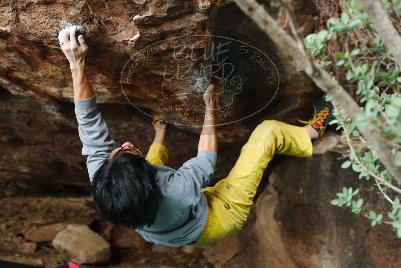 Bouldering in Hueco Tanks on 11/25/2019 with Blue Lizard Climbing and Yoga

Filename: SRM_20191125_1644470.jpg
Aperture: f/3.5
Shutter Speed: 1/250
Body: Canon EOS-1D Mark II
Lens: Canon EF 50mm f/1.8 II