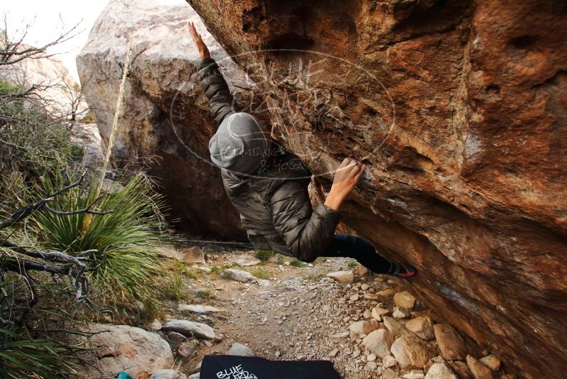 Bouldering in Hueco Tanks on 11/26/2019 with Blue Lizard Climbing and Yoga

Filename: SRM_20191126_1019100.jpg
Aperture: f/5.0
Shutter Speed: 1/250
Body: Canon EOS-1D Mark II
Lens: Canon EF 16-35mm f/2.8 L