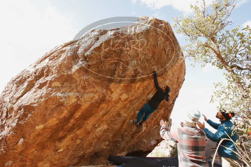 Bouldering in Hueco Tanks on 11/26/2019 with Blue Lizard Climbing and Yoga

Filename: SRM_20191126_1200060.jpg
Aperture: f/8.0
Shutter Speed: 1/250
Body: Canon EOS-1D Mark II
Lens: Canon EF 16-35mm f/2.8 L