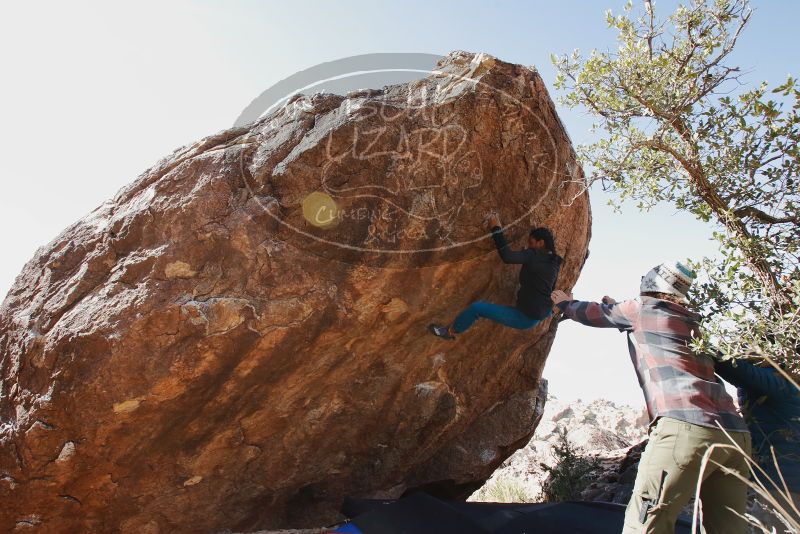 Bouldering in Hueco Tanks on 11/26/2019 with Blue Lizard Climbing and Yoga

Filename: SRM_20191126_1241371.jpg
Aperture: f/8.0
Shutter Speed: 1/250
Body: Canon EOS-1D Mark II
Lens: Canon EF 16-35mm f/2.8 L