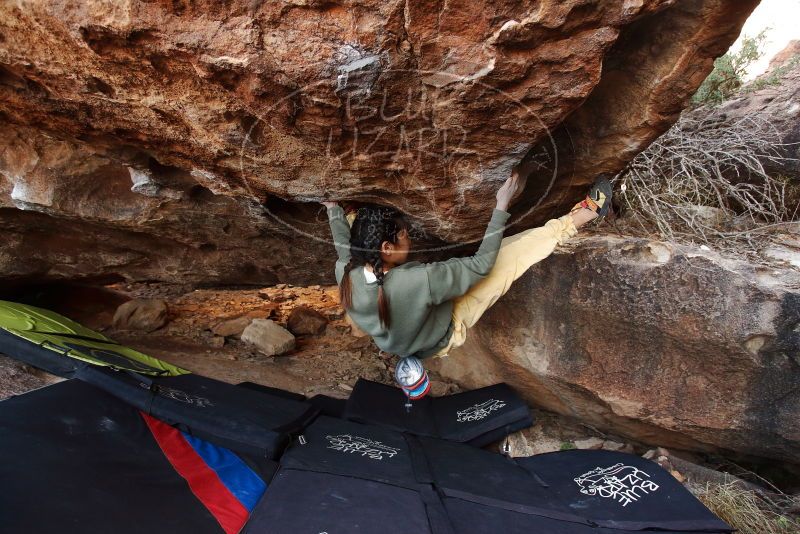 Bouldering in Hueco Tanks on 11/26/2019 with Blue Lizard Climbing and Yoga

Filename: SRM_20191126_1540140.jpg
Aperture: f/4.0
Shutter Speed: 1/250
Body: Canon EOS-1D Mark II
Lens: Canon EF 16-35mm f/2.8 L