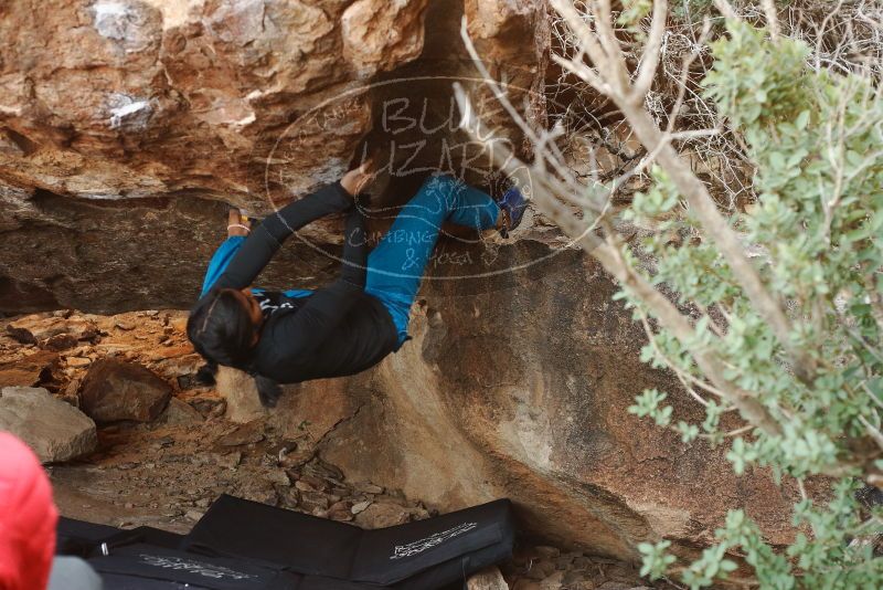 Bouldering in Hueco Tanks on 11/26/2019 with Blue Lizard Climbing and Yoga

Filename: SRM_20191126_1546371.jpg
Aperture: f/4.0
Shutter Speed: 1/250
Body: Canon EOS-1D Mark II
Lens: Canon EF 50mm f/1.8 II