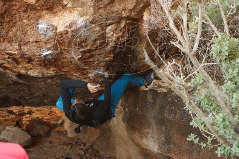 Bouldering in Hueco Tanks on 11/26/2019 with Blue Lizard Climbing and Yoga

Filename: SRM_20191126_1546390.jpg
Aperture: f/4.0
Shutter Speed: 1/250
Body: Canon EOS-1D Mark II
Lens: Canon EF 50mm f/1.8 II