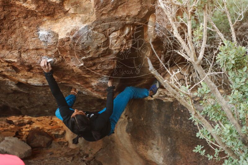 Bouldering in Hueco Tanks on 11/26/2019 with Blue Lizard Climbing and Yoga

Filename: SRM_20191126_1546391.jpg
Aperture: f/4.0
Shutter Speed: 1/250
Body: Canon EOS-1D Mark II
Lens: Canon EF 50mm f/1.8 II