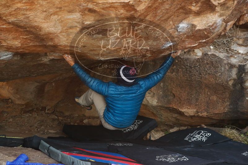 Bouldering in Hueco Tanks on 11/26/2019 with Blue Lizard Climbing and Yoga

Filename: SRM_20191126_1554271.jpg
Aperture: f/5.0
Shutter Speed: 1/250
Body: Canon EOS-1D Mark II
Lens: Canon EF 50mm f/1.8 II