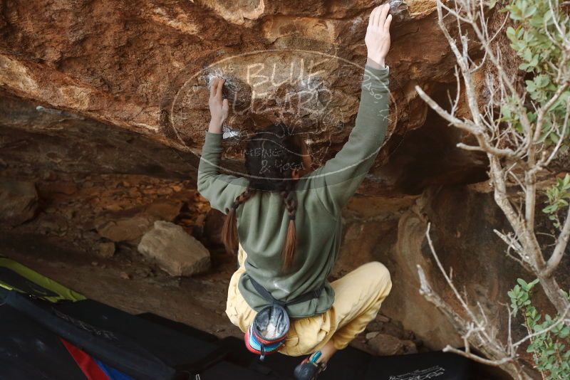 Bouldering in Hueco Tanks on 11/26/2019 with Blue Lizard Climbing and Yoga

Filename: SRM_20191126_1558390.jpg
Aperture: f/5.0
Shutter Speed: 1/250
Body: Canon EOS-1D Mark II
Lens: Canon EF 50mm f/1.8 II