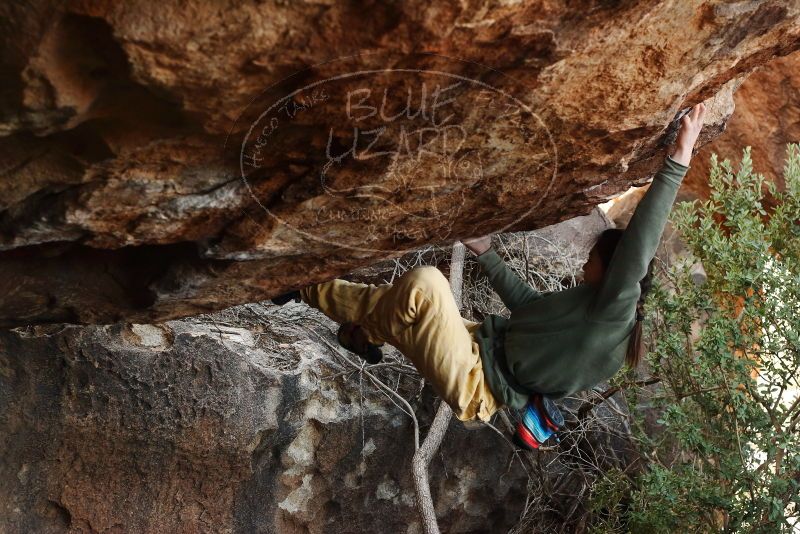 Bouldering in Hueco Tanks on 11/26/2019 with Blue Lizard Climbing and Yoga

Filename: SRM_20191126_1606460.jpg
Aperture: f/4.5
Shutter Speed: 1/250
Body: Canon EOS-1D Mark II
Lens: Canon EF 50mm f/1.8 II