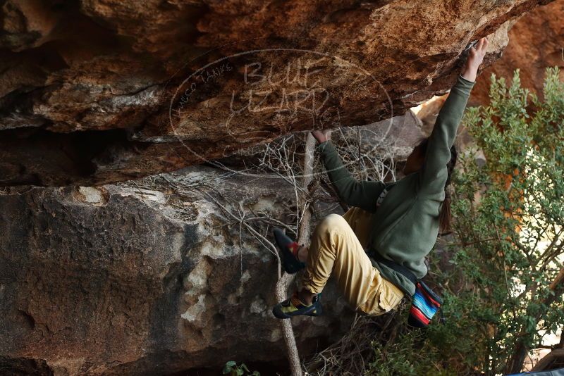 Bouldering in Hueco Tanks on 11/26/2019 with Blue Lizard Climbing and Yoga

Filename: SRM_20191126_1606490.jpg
Aperture: f/5.0
Shutter Speed: 1/250
Body: Canon EOS-1D Mark II
Lens: Canon EF 50mm f/1.8 II