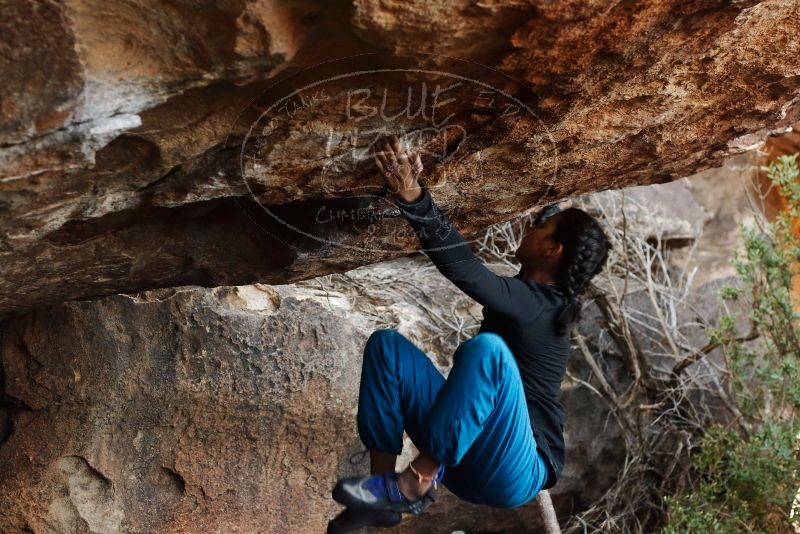 Bouldering in Hueco Tanks on 11/26/2019 with Blue Lizard Climbing and Yoga

Filename: SRM_20191126_1616061.jpg
Aperture: f/3.5
Shutter Speed: 1/250
Body: Canon EOS-1D Mark II
Lens: Canon EF 50mm f/1.8 II