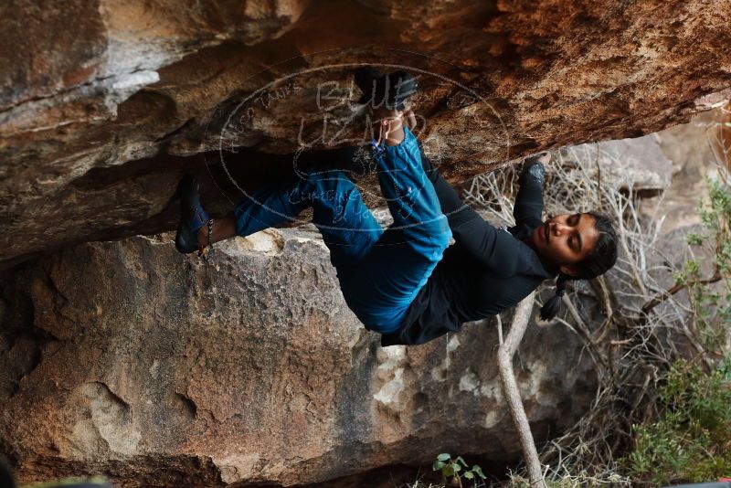 Bouldering in Hueco Tanks on 11/26/2019 with Blue Lizard Climbing and Yoga

Filename: SRM_20191126_1616080.jpg
Aperture: f/3.5
Shutter Speed: 1/250
Body: Canon EOS-1D Mark II
Lens: Canon EF 50mm f/1.8 II