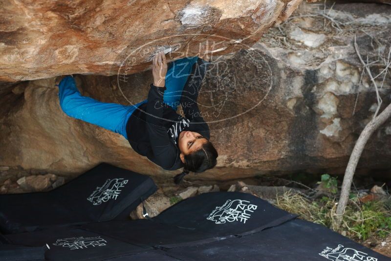 Bouldering in Hueco Tanks on 11/26/2019 with Blue Lizard Climbing and Yoga

Filename: SRM_20191126_1623510.jpg
Aperture: f/4.5
Shutter Speed: 1/250
Body: Canon EOS-1D Mark II
Lens: Canon EF 50mm f/1.8 II