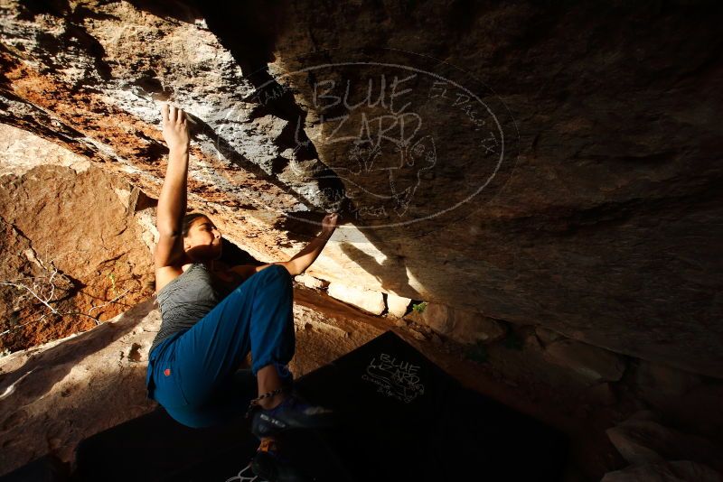 Bouldering in Hueco Tanks on 11/26/2019 with Blue Lizard Climbing and Yoga

Filename: SRM_20191126_1708390.jpg
Aperture: f/6.3
Shutter Speed: 1/250
Body: Canon EOS-1D Mark II
Lens: Canon EF 16-35mm f/2.8 L