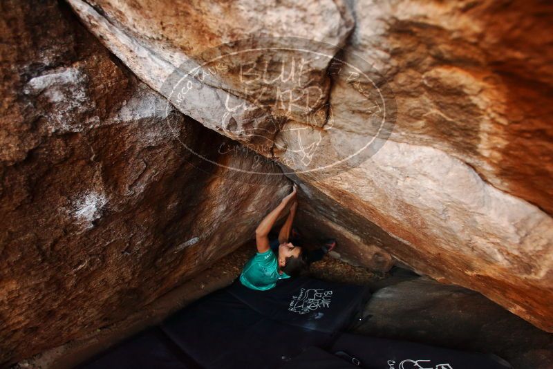 Bouldering in Hueco Tanks on 11/26/2019 with Blue Lizard Climbing and Yoga

Filename: SRM_20191126_1736300.jpg
Aperture: f/3.5
Shutter Speed: 1/250
Body: Canon EOS-1D Mark II
Lens: Canon EF 16-35mm f/2.8 L