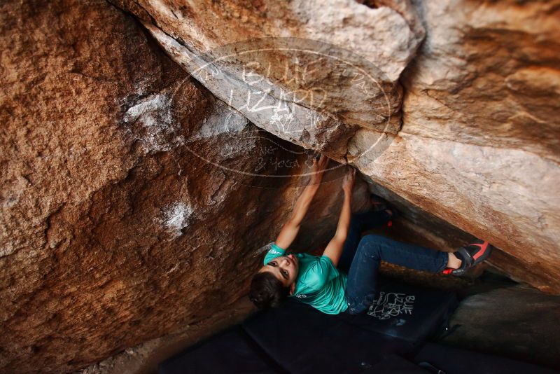 Bouldering in Hueco Tanks on 11/26/2019 with Blue Lizard Climbing and Yoga

Filename: SRM_20191126_1736410.jpg
Aperture: f/3.5
Shutter Speed: 1/250
Body: Canon EOS-1D Mark II
Lens: Canon EF 16-35mm f/2.8 L