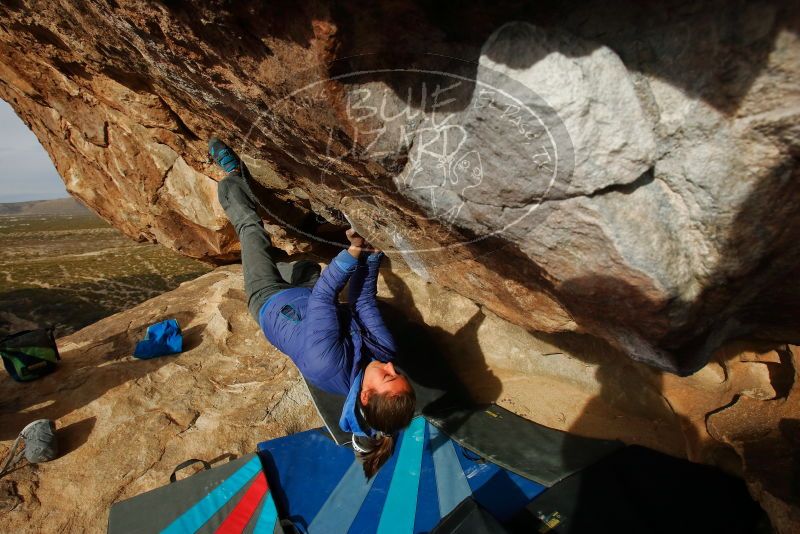 Bouldering in Hueco Tanks on 11/27/2019 with Blue Lizard Climbing and Yoga

Filename: SRM_20191127_1004250.jpg
Aperture: f/10.0
Shutter Speed: 1/250
Body: Canon EOS-1D Mark II
Lens: Canon EF 16-35mm f/2.8 L