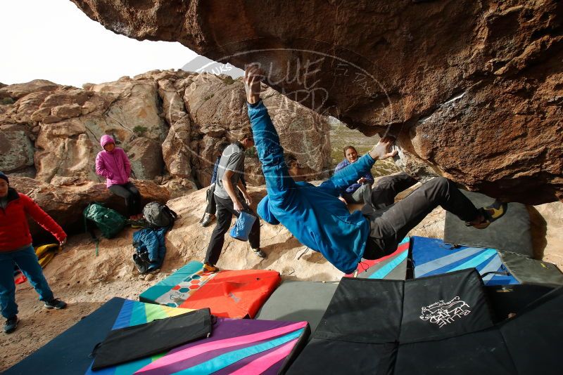 Bouldering in Hueco Tanks on 11/27/2019 with Blue Lizard Climbing and Yoga

Filename: SRM_20191127_1013470.jpg
Aperture: f/7.1
Shutter Speed: 1/250
Body: Canon EOS-1D Mark II
Lens: Canon EF 16-35mm f/2.8 L