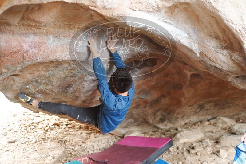 Bouldering in Hueco Tanks on 11/27/2019 with Blue Lizard Climbing and Yoga

Filename: SRM_20191127_1050080.jpg
Aperture: f/2.2
Shutter Speed: 1/250
Body: Canon EOS-1D Mark II
Lens: Canon EF 50mm f/1.8 II