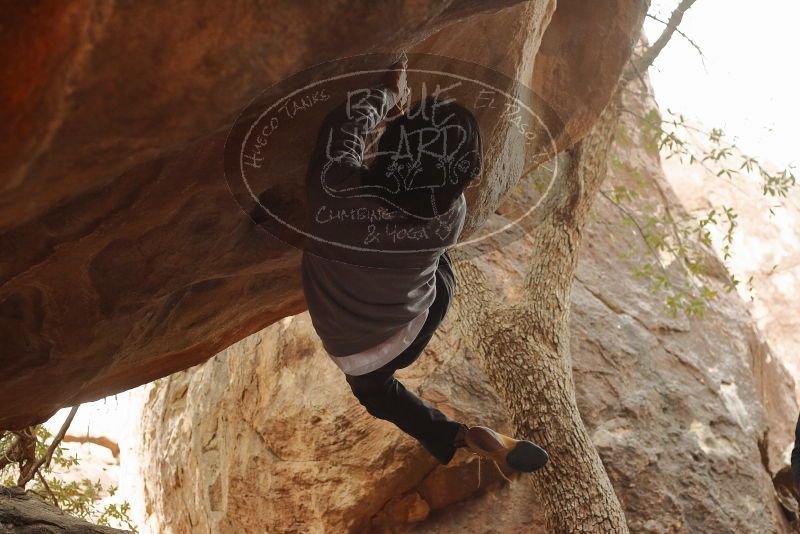 Bouldering in Hueco Tanks on 11/27/2019 with Blue Lizard Climbing and Yoga

Filename: SRM_20191127_1118440.jpg
Aperture: f/4.5
Shutter Speed: 1/320
Body: Canon EOS-1D Mark II
Lens: Canon EF 50mm f/1.8 II