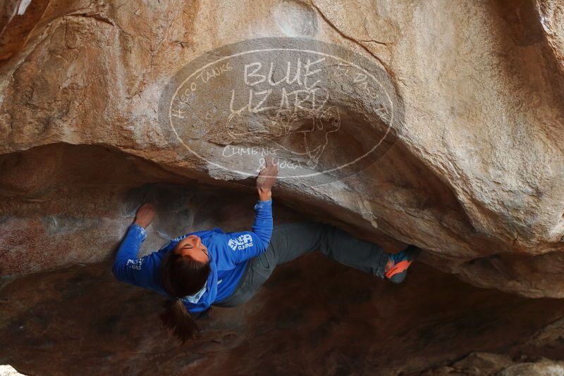 Bouldering in Hueco Tanks on 11/27/2019 with Blue Lizard Climbing and Yoga

Filename: SRM_20191127_1123260.jpg
Aperture: f/4.5
Shutter Speed: 1/250
Body: Canon EOS-1D Mark II
Lens: Canon EF 50mm f/1.8 II