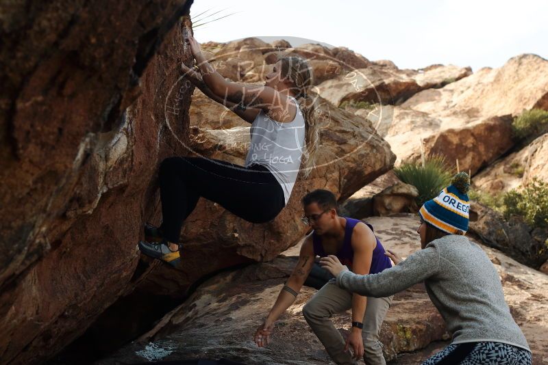 Bouldering in Hueco Tanks on 11/29/2019 with Blue Lizard Climbing and Yoga

Filename: SRM_20191129_1410060.jpg
Aperture: f/5.6
Shutter Speed: 1/250
Body: Canon EOS-1D Mark II
Lens: Canon EF 50mm f/1.8 II