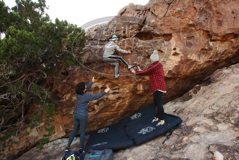 Bouldering in Hueco Tanks on 11/29/2019 with Blue Lizard Climbing and Yoga

Filename: SRM_20191129_1638510.jpg
Aperture: f/9.0
Shutter Speed: 1/250
Body: Canon EOS-1D Mark II
Lens: Canon EF 16-35mm f/2.8 L