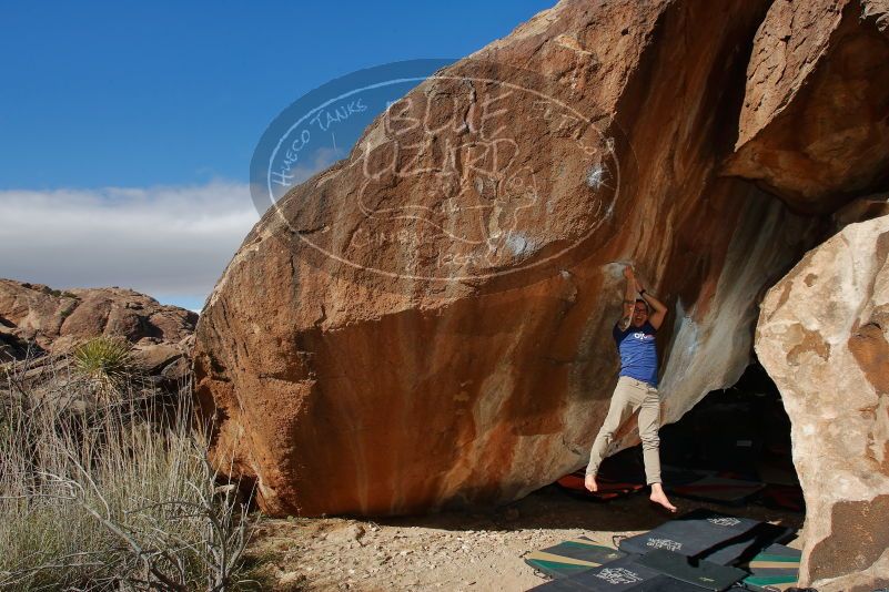 Bouldering in Hueco Tanks on 11/30/2019 with Blue Lizard Climbing and Yoga

Filename: SRM_20191130_1213080.jpg
Aperture: f/8.0
Shutter Speed: 1/250
Body: Canon EOS-1D Mark II
Lens: Canon EF 16-35mm f/2.8 L