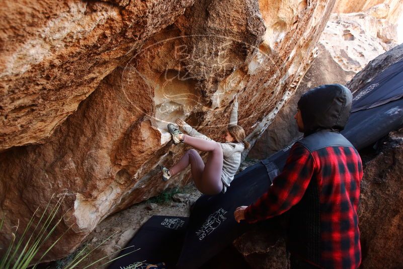 Bouldering in Hueco Tanks on 11/30/2019 with Blue Lizard Climbing and Yoga

Filename: SRM_20191130_1240430.jpg
Aperture: f/4.0
Shutter Speed: 1/250
Body: Canon EOS-1D Mark II
Lens: Canon EF 16-35mm f/2.8 L