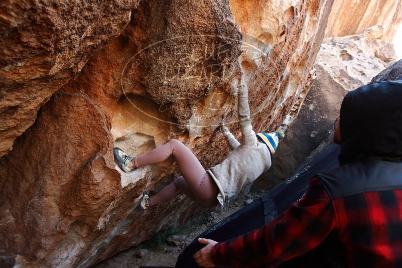 Bouldering in Hueco Tanks on 11/30/2019 with Blue Lizard Climbing and Yoga

Filename: SRM_20191130_1250020.jpg
Aperture: f/4.5
Shutter Speed: 1/250
Body: Canon EOS-1D Mark II
Lens: Canon EF 16-35mm f/2.8 L