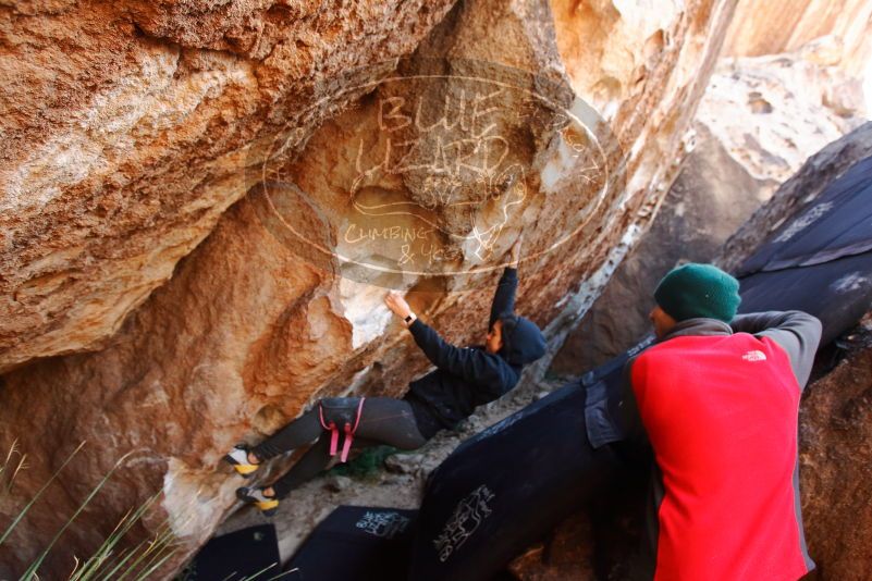 Bouldering in Hueco Tanks on 11/30/2019 with Blue Lizard Climbing and Yoga

Filename: SRM_20191130_1305350.jpg
Aperture: f/4.0
Shutter Speed: 1/250
Body: Canon EOS-1D Mark II
Lens: Canon EF 16-35mm f/2.8 L