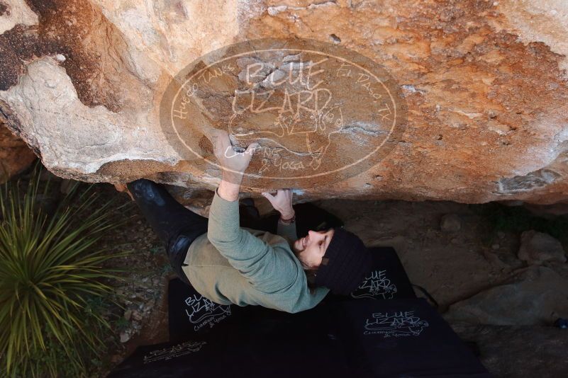 Bouldering in Hueco Tanks on 11/30/2019 with Blue Lizard Climbing and Yoga

Filename: SRM_20191130_1327080.jpg
Aperture: f/7.1
Shutter Speed: 1/250
Body: Canon EOS-1D Mark II
Lens: Canon EF 16-35mm f/2.8 L