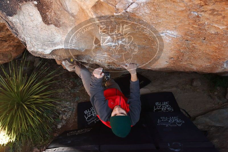 Bouldering in Hueco Tanks on 11/30/2019 with Blue Lizard Climbing and Yoga

Filename: SRM_20191130_1328320.jpg
Aperture: f/6.3
Shutter Speed: 1/250
Body: Canon EOS-1D Mark II
Lens: Canon EF 16-35mm f/2.8 L