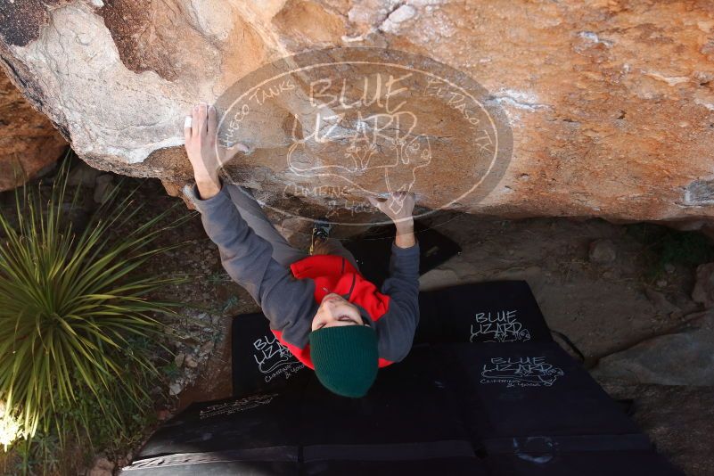 Bouldering in Hueco Tanks on 11/30/2019 with Blue Lizard Climbing and Yoga

Filename: SRM_20191130_1328330.jpg
Aperture: f/5.6
Shutter Speed: 1/250
Body: Canon EOS-1D Mark II
Lens: Canon EF 16-35mm f/2.8 L