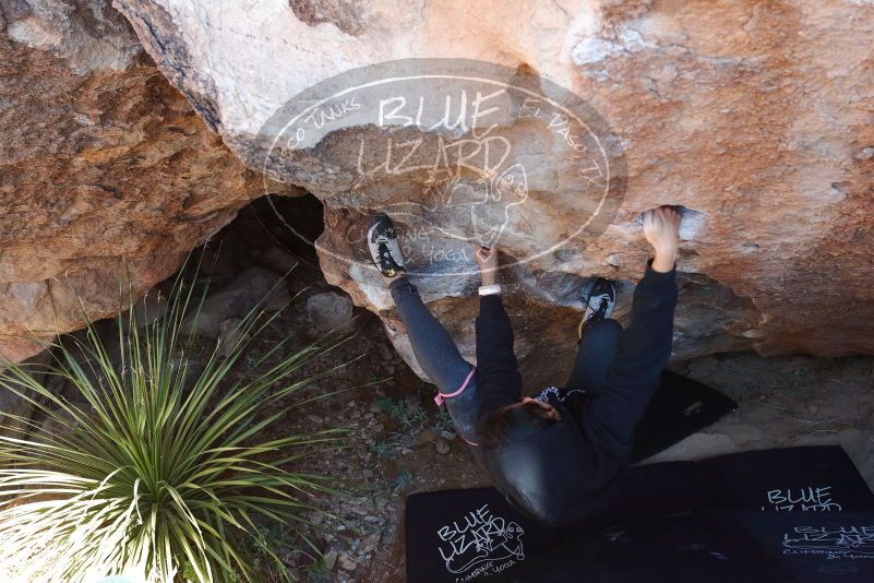 Bouldering in Hueco Tanks on 11/30/2019 with Blue Lizard Climbing and Yoga

Filename: SRM_20191130_1332040.jpg
Aperture: f/6.3
Shutter Speed: 1/250
Body: Canon EOS-1D Mark II
Lens: Canon EF 16-35mm f/2.8 L