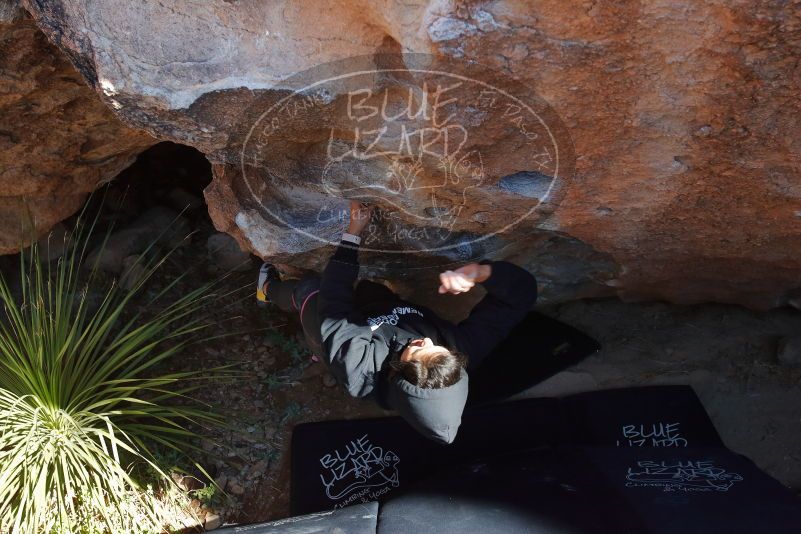 Bouldering in Hueco Tanks on 11/30/2019 with Blue Lizard Climbing and Yoga

Filename: SRM_20191130_1336240.jpg
Aperture: f/6.3
Shutter Speed: 1/250
Body: Canon EOS-1D Mark II
Lens: Canon EF 16-35mm f/2.8 L