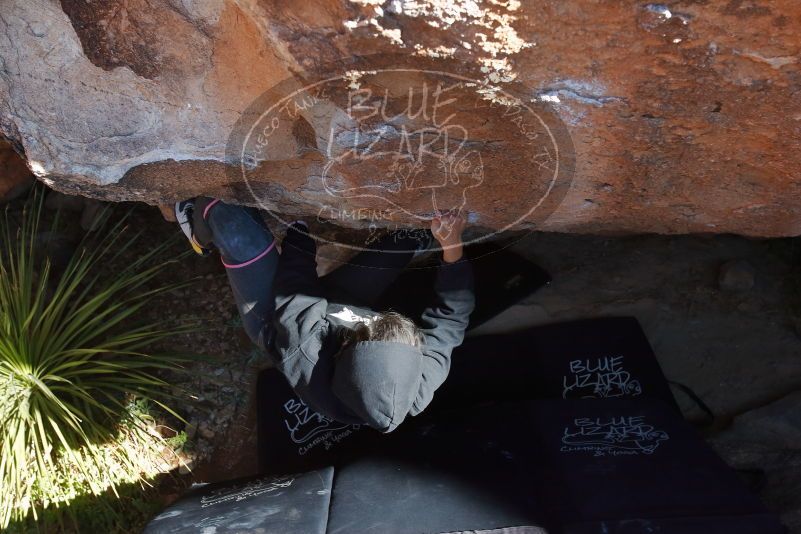 Bouldering in Hueco Tanks on 11/30/2019 with Blue Lizard Climbing and Yoga

Filename: SRM_20191130_1336370.jpg
Aperture: f/7.1
Shutter Speed: 1/250
Body: Canon EOS-1D Mark II
Lens: Canon EF 16-35mm f/2.8 L