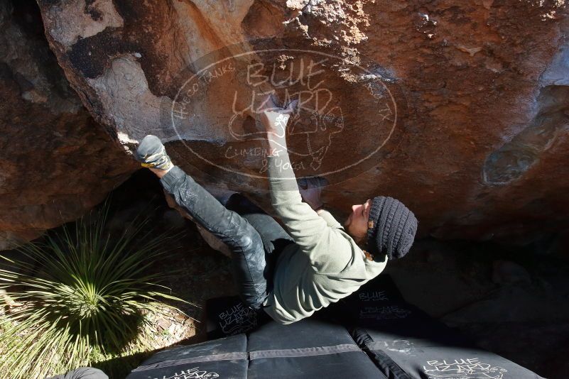 Bouldering in Hueco Tanks on 11/30/2019 with Blue Lizard Climbing and Yoga

Filename: SRM_20191130_1339350.jpg
Aperture: f/10.0
Shutter Speed: 1/250
Body: Canon EOS-1D Mark II
Lens: Canon EF 16-35mm f/2.8 L