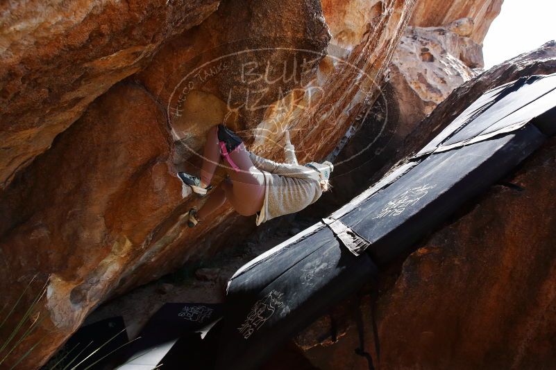 Bouldering in Hueco Tanks on 11/30/2019 with Blue Lizard Climbing and Yoga

Filename: SRM_20191130_1347300.jpg
Aperture: f/6.3
Shutter Speed: 1/250
Body: Canon EOS-1D Mark II
Lens: Canon EF 16-35mm f/2.8 L