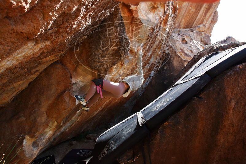 Bouldering in Hueco Tanks on 11/30/2019 with Blue Lizard Climbing and Yoga

Filename: SRM_20191130_1347430.jpg
Aperture: f/6.3
Shutter Speed: 1/250
Body: Canon EOS-1D Mark II
Lens: Canon EF 16-35mm f/2.8 L