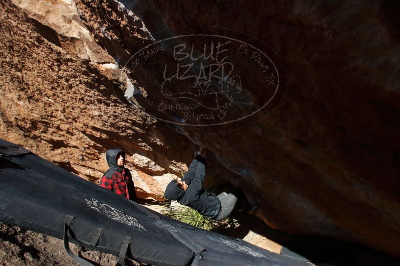 Bouldering in Hueco Tanks on 11/30/2019 with Blue Lizard Climbing and Yoga

Filename: SRM_20191130_1404360.jpg
Aperture: f/8.0
Shutter Speed: 1/320
Body: Canon EOS-1D Mark II
Lens: Canon EF 16-35mm f/2.8 L