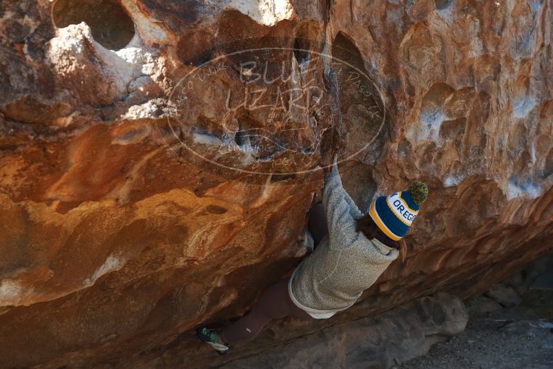 Bouldering in Hueco Tanks on 11/30/2019 with Blue Lizard Climbing and Yoga

Filename: SRM_20191130_1458250.jpg
Aperture: f/6.3
Shutter Speed: 1/250
Body: Canon EOS-1D Mark II
Lens: Canon EF 50mm f/1.8 II