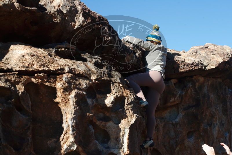 Bouldering in Hueco Tanks on 11/30/2019 with Blue Lizard Climbing and Yoga

Filename: SRM_20191130_1459040.jpg
Aperture: f/7.1
Shutter Speed: 1/500
Body: Canon EOS-1D Mark II
Lens: Canon EF 50mm f/1.8 II