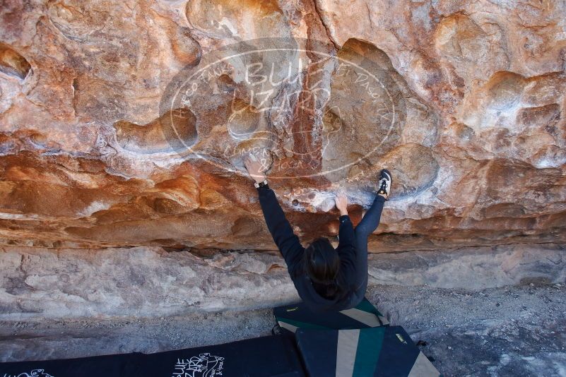 Bouldering in Hueco Tanks on 11/30/2019 with Blue Lizard Climbing and Yoga

Filename: SRM_20191130_1554390.jpg
Aperture: f/4.5
Shutter Speed: 1/250
Body: Canon EOS-1D Mark II
Lens: Canon EF 16-35mm f/2.8 L