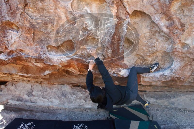 Bouldering in Hueco Tanks on 11/30/2019 with Blue Lizard Climbing and Yoga

Filename: SRM_20191130_1554440.jpg
Aperture: f/4.5
Shutter Speed: 1/250
Body: Canon EOS-1D Mark II
Lens: Canon EF 16-35mm f/2.8 L