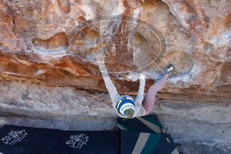 Bouldering in Hueco Tanks on 11/30/2019 with Blue Lizard Climbing and Yoga

Filename: SRM_20191130_1555380.jpg
Aperture: f/4.5
Shutter Speed: 1/250
Body: Canon EOS-1D Mark II
Lens: Canon EF 16-35mm f/2.8 L