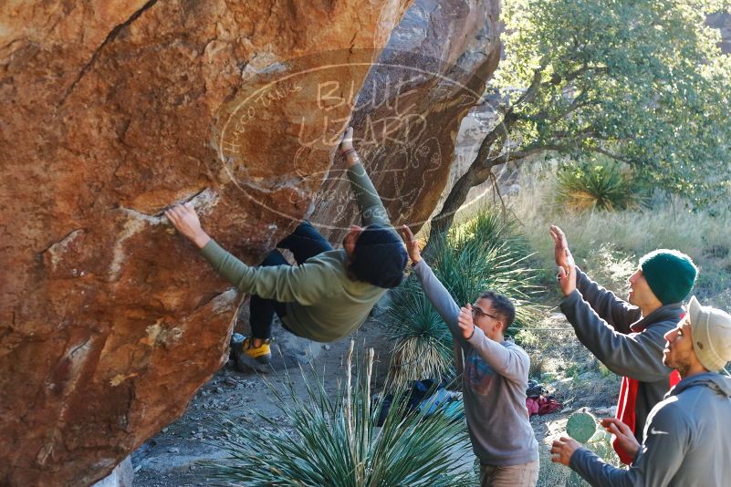 Bouldering in Hueco Tanks on 11/30/2019 with Blue Lizard Climbing and Yoga

Filename: SRM_20191130_1634460.jpg
Aperture: f/4.0
Shutter Speed: 1/250
Body: Canon EOS-1D Mark II
Lens: Canon EF 50mm f/1.8 II