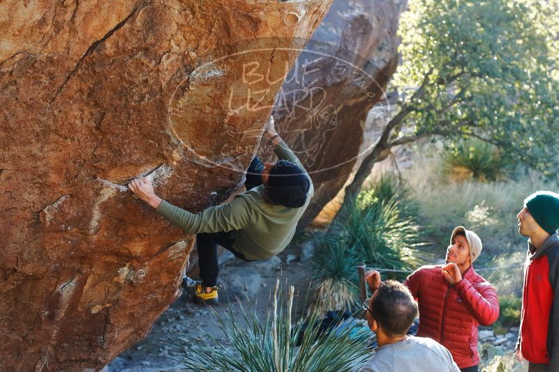 Bouldering in Hueco Tanks on 11/30/2019 with Blue Lizard Climbing and Yoga

Filename: SRM_20191130_1640390.jpg
Aperture: f/4.0
Shutter Speed: 1/250
Body: Canon EOS-1D Mark II
Lens: Canon EF 50mm f/1.8 II