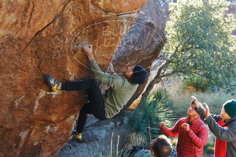 Bouldering in Hueco Tanks on 11/30/2019 with Blue Lizard Climbing and Yoga

Filename: SRM_20191130_1640430.jpg
Aperture: f/4.0
Shutter Speed: 1/250
Body: Canon EOS-1D Mark II
Lens: Canon EF 50mm f/1.8 II