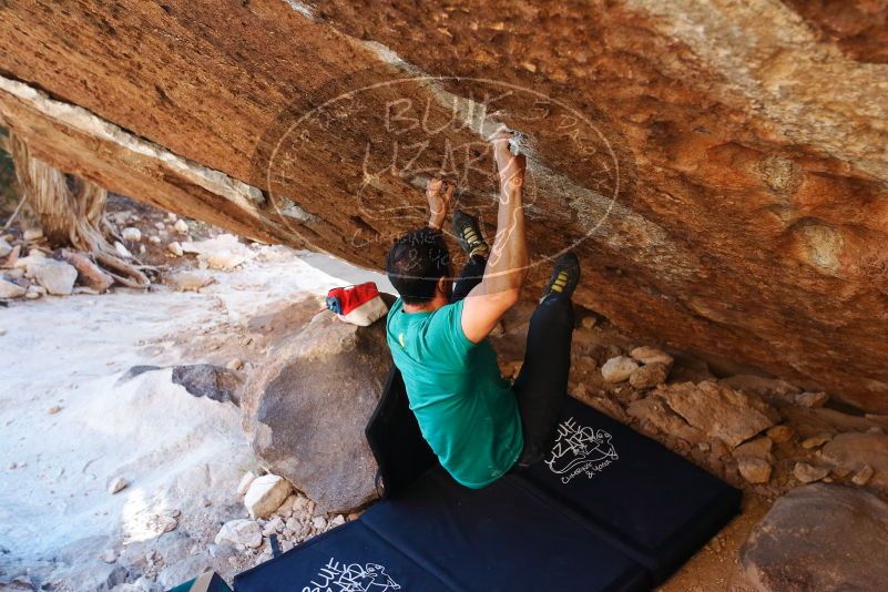 Bouldering in Hueco Tanks on 11/30/2019 with Blue Lizard Climbing and Yoga

Filename: SRM_20191130_1723260.jpg
Aperture: f/4.0
Shutter Speed: 1/250
Body: Canon EOS-1D Mark II
Lens: Canon EF 16-35mm f/2.8 L