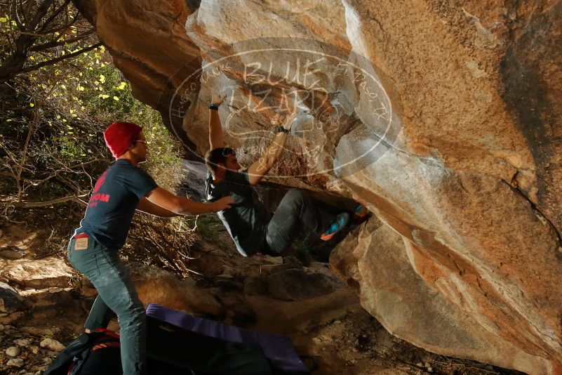 Bouldering in Hueco Tanks on 12/06/2019 with Blue Lizard Climbing and Yoga

Filename: SRM_20191206_1337060.jpg
Aperture: f/7.1
Shutter Speed: 1/250
Body: Canon EOS-1D Mark II
Lens: Canon EF 16-35mm f/2.8 L